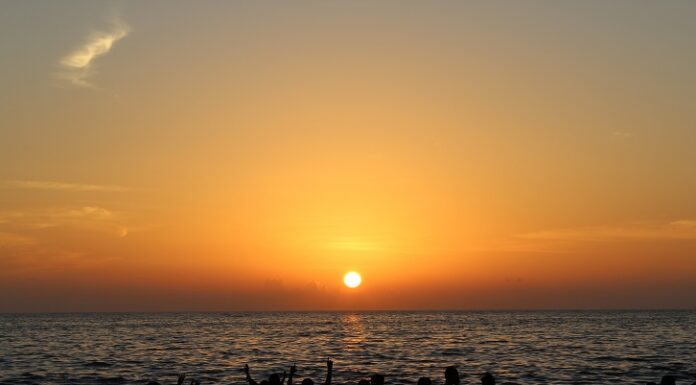 Buddhism and Science buddhism science buddha