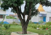 Transformative Vipasyana meditation at Chakia Centre in Champaran Transformative Vipasyana meditation at Chakia Centre in Champaran